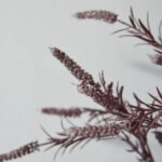 Fantasy Purple Shadow Simulation Bouquet - Image 3