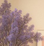 Purple Dream Dance Simulation Bouquet - Image 3