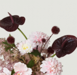 Pink Mist Dancing Simulation Bouquet - Image 4